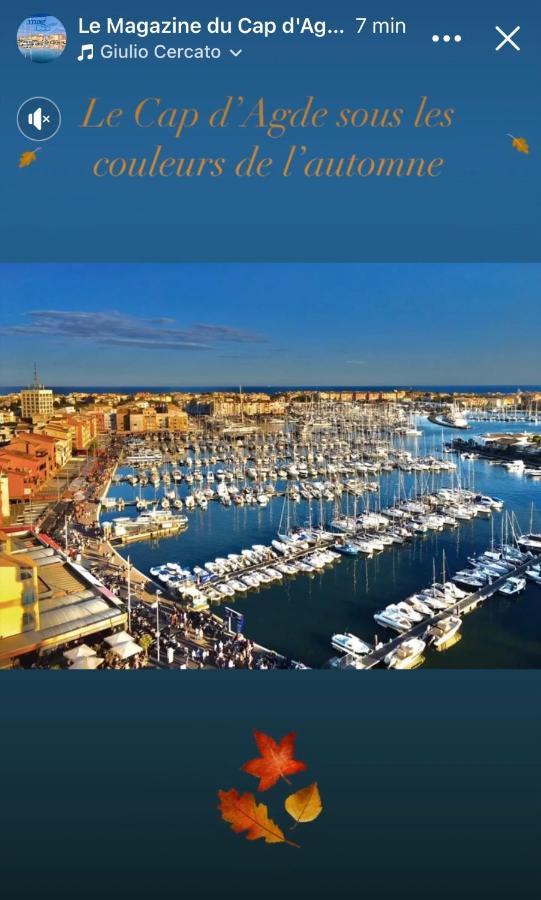 Studio La Grande Roue Vue Magnifique Agde Ngoại thất bức ảnh